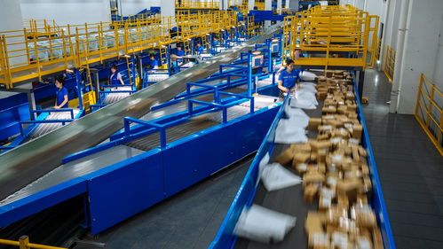 春節快遞不打烊 多家公司回應，商務服務不打烊成新常態